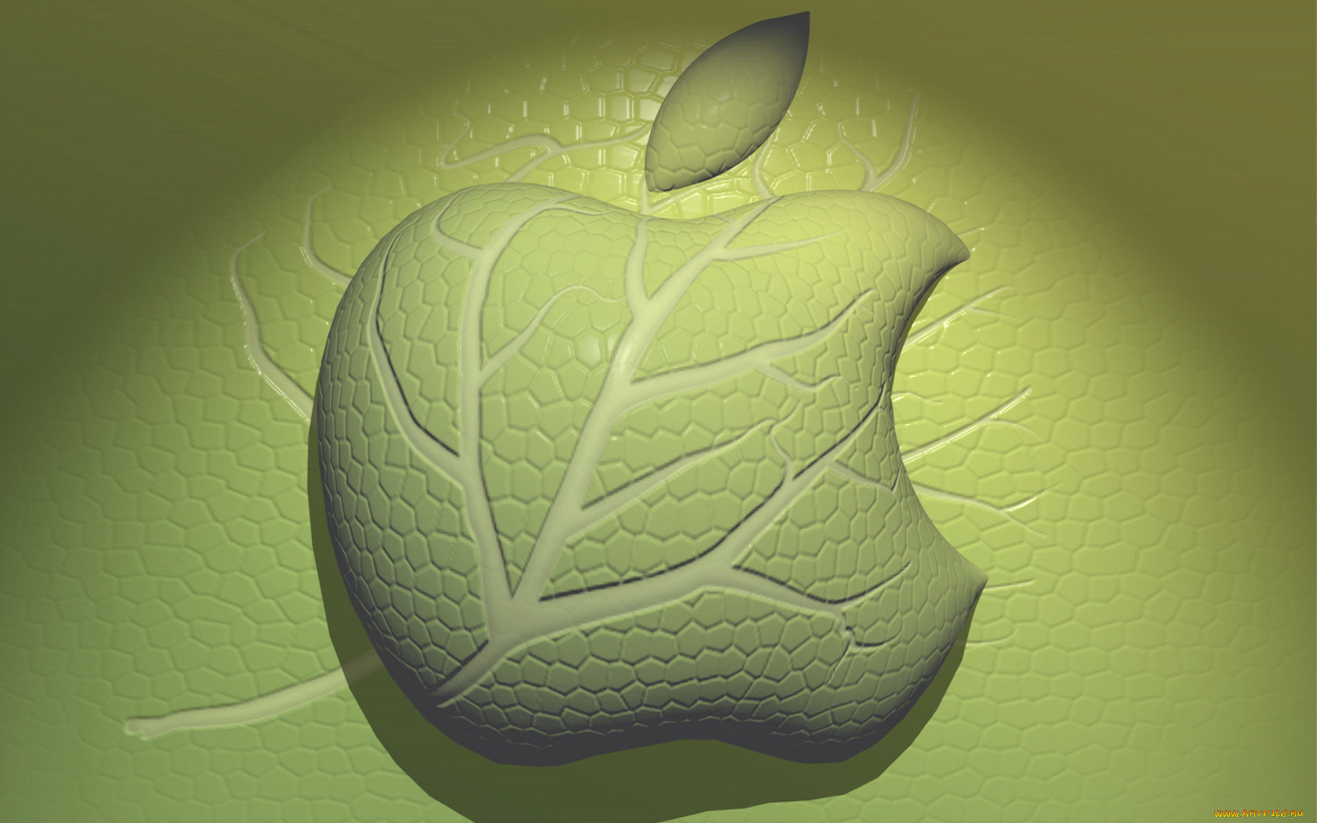 , apple, , , , pple